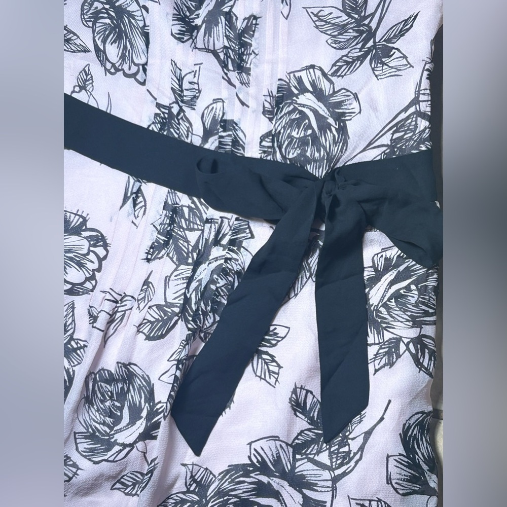 Ann loft coquetee dress​